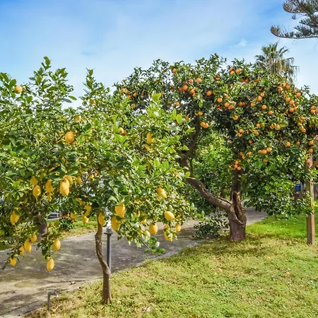 2 Bedroom Beautiful In 度假居 Torrenova (Sicily)
